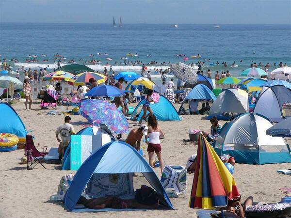 やす子が発信　『津波注意報』と『津波警報』の違いに「ありがとう」「分かりやすい」