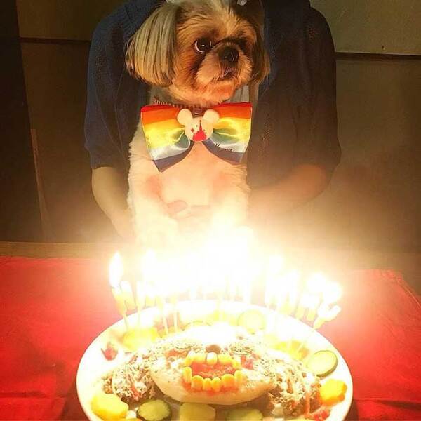 7年前に撮った、忘れられないケーキ　その見た目に「夢に出てきそう」「こ、怖い…」