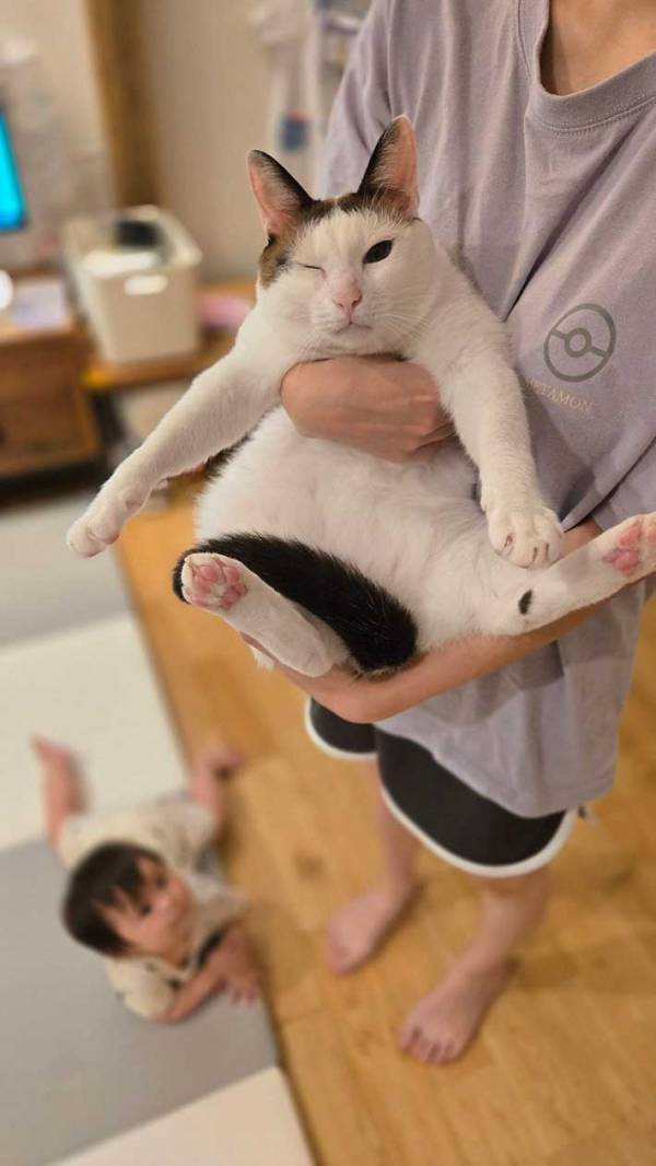 「我が家のヒーロー」と褒められて…？　猫の顔に「かっこいい」「やりますね」