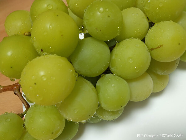 「生き返ってる」「絶対マネする」　スノ佐久間、しなったシャインマスカットを…？