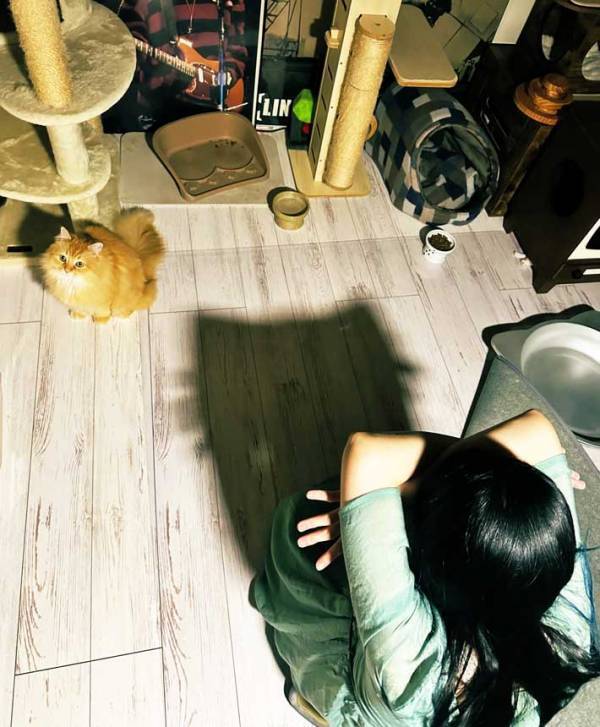 夫「妻が猫になりました」　おかしなポーズをする妻、それをみた猫が？