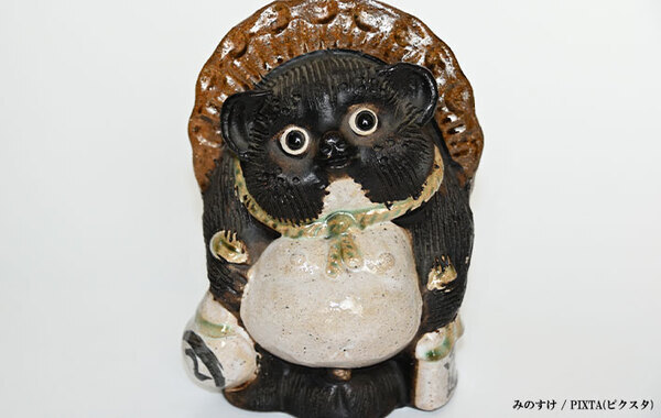 「ごめん爆笑した」「完全に一致」　友人から「信楽焼のたぬき」といわれた犬が、こちら