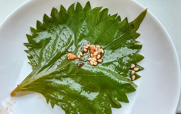 主役は大葉と…？　ご飯が無限に食べられるレシピに「最高！」「めっちゃ使える」