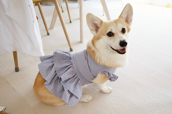 着なくなったGUのシャツを…　驚きのリメイクに「天才なの？」「最高すぎる」