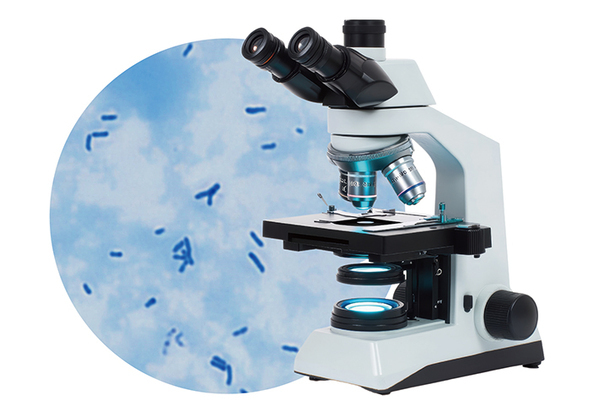 海やプールもいいけど…　『こどもが主役』のイベント、体験できる内容が？