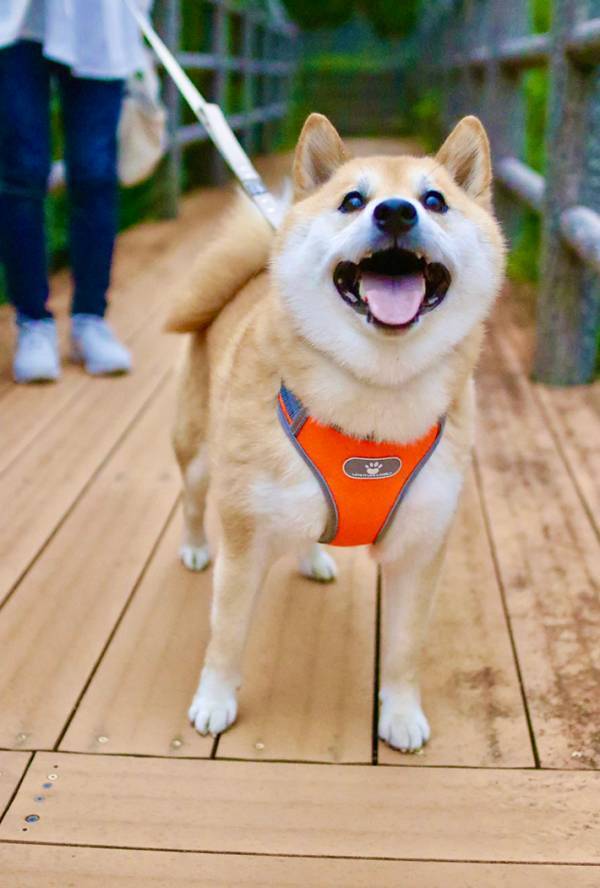 「怖いか、私の愛が…」　小さなビーズを並べて半年後？「愛の偉大さに震えました」