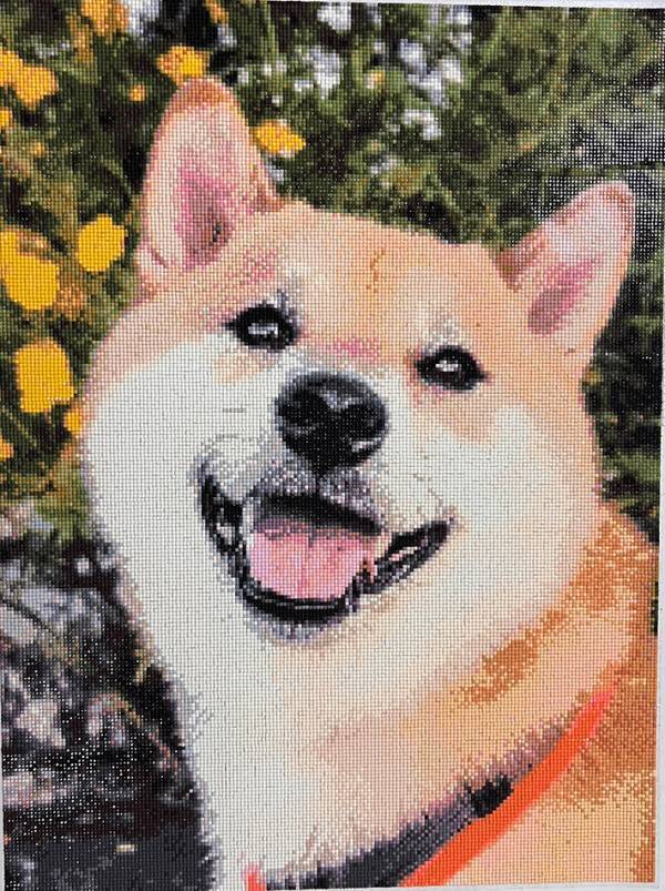 「怖いか、私の愛が…」　小さなビーズを並べて半年後？「愛の偉大さに震えました」