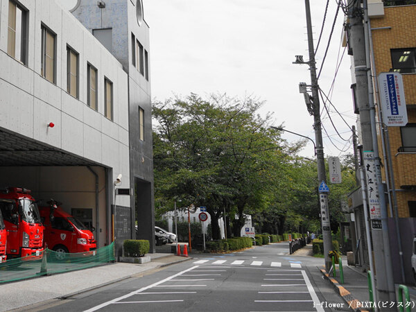 「クラクション鳴らされた」「ちゃんと浸透してほしい」　道路の『四角い枠』の意味、意外と知らない？
