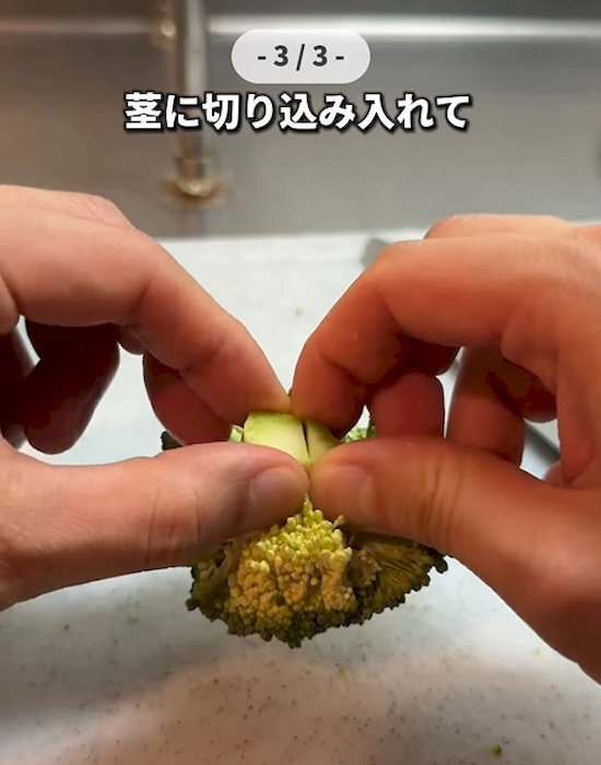 ブロッコリーの悩みを解決！　下処理から調理までの裏技に「最高」「真似したい」