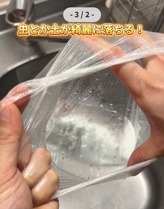 ブロッコリーの悩みを解決！　下処理から調理までの裏技に「最高」「真似したい」