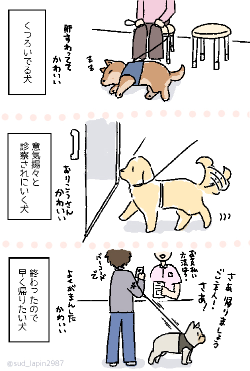 動物病院の待合室で？　たまに見かける光景に「楽しい」「こんなにかわいい空間があるんだな」