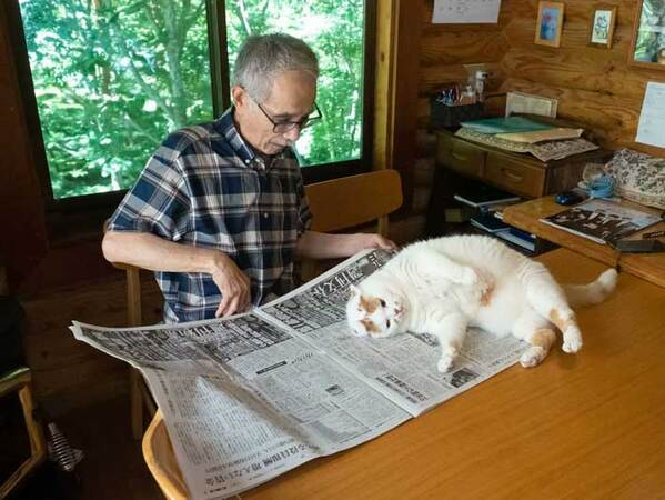 新聞の上で寝てしまった猫　父親が『仕返し』をすると？　「笑った」「漫画みたいな展開」
