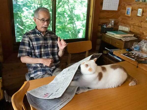 新聞の上で寝てしまった猫　父親が『仕返し』をすると？　「笑った」「漫画みたいな展開」