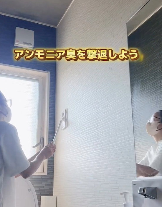 トイレ掃除で見逃しがち！　タンクの後ろをきれいにする方法に「助かる」「目からウロコ」