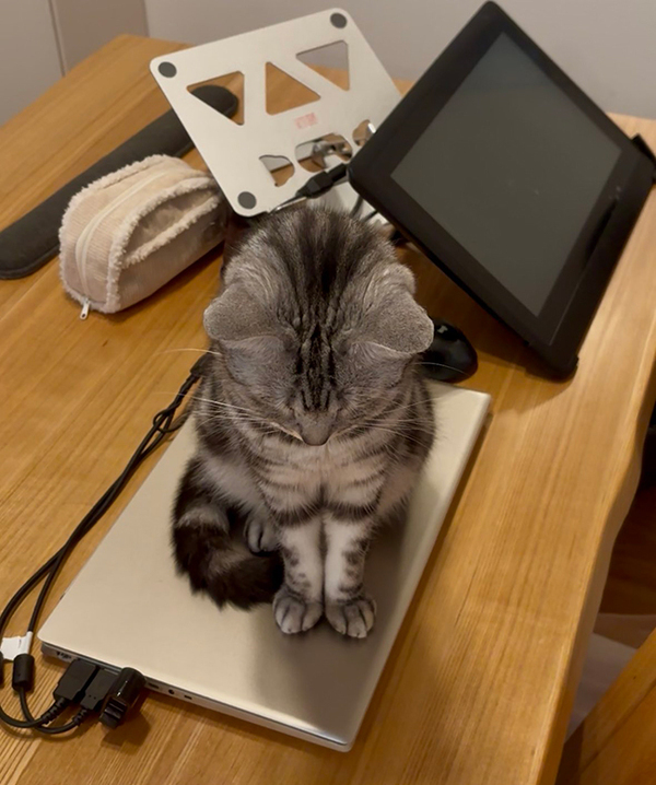 なでられ待ちの猫　体の下を見ると？「全部がパーフェクト」「キュンとした…」