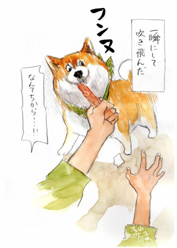 柴犬にジャーキーをあげようとしたら…　展開に「笑った」「顔、顔！」