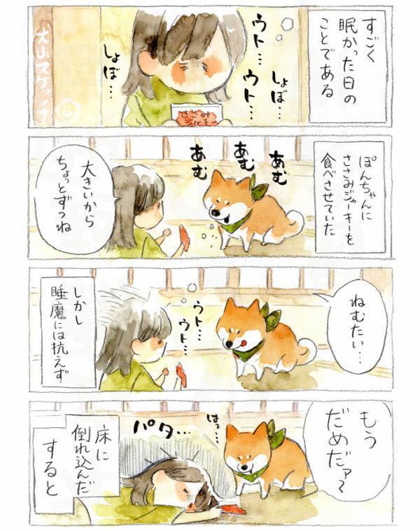 柴犬にジャーキーをあげようとしたら…　展開に「笑った」「顔、顔！」