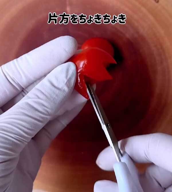 夏に食べたい『金魚そうめん』　作り方に「天才」「参りました」