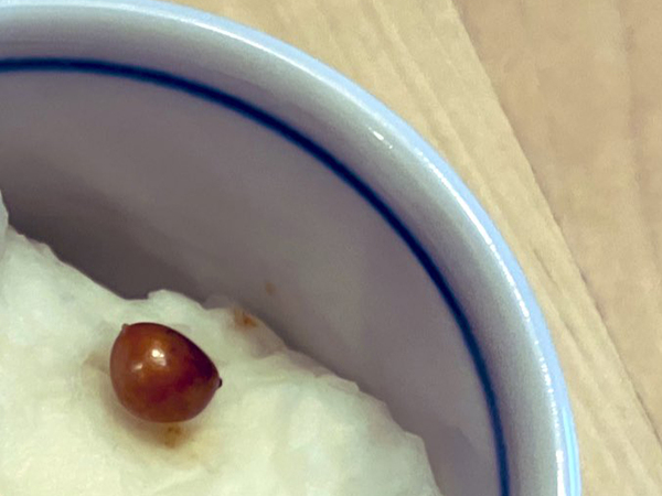 父親「育児は理屈じゃない」　陶器の中を見ると？「笑った」「これはしょうがない！」