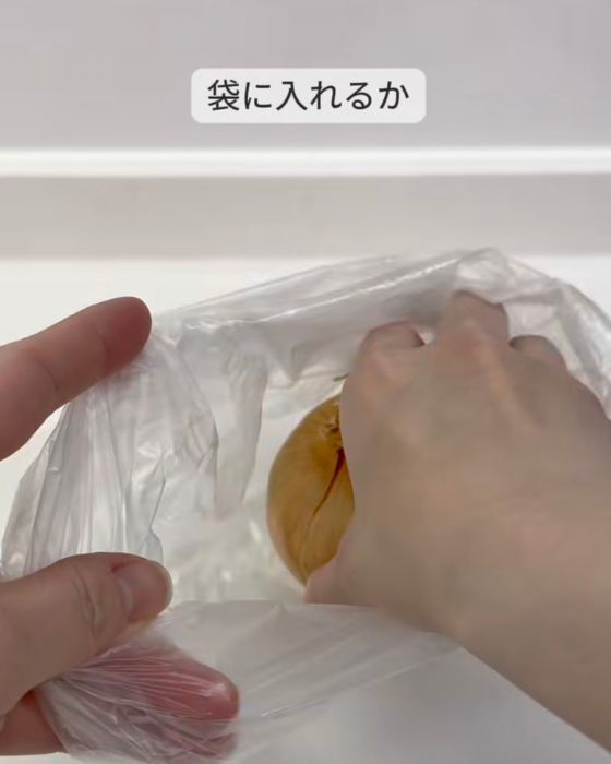 日常の7つの習慣がゴキブリを呼ぶ？　意外な原因に「全部やってた」「怖い」