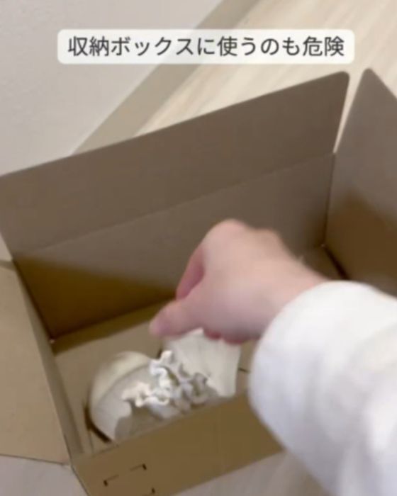 日常の7つの習慣がゴキブリを呼ぶ？　意外な原因に「全部やってた」「怖い」