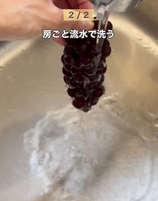 「水気を拭き取ってからラップで包んで」　ブドウ冷凍のコツに「霜がつかない」「食感バッチリ」