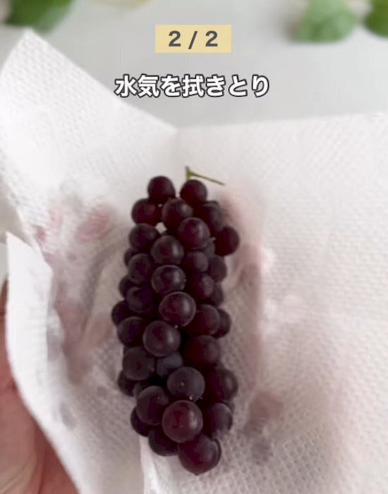 「水気を拭き取ってからラップで包んで」　ブドウ冷凍のコツに「霜がつかない」「食感バッチリ」