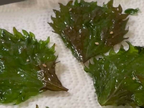 大葉があれば1分で完成！　夏でも食欲が湧く『ご飯のお供』が…