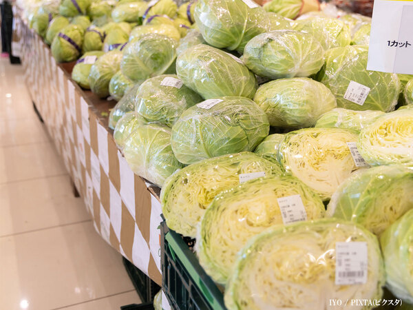 大量のキャベツが届いた辻希美　臨月のお腹で料理する姿に「尊敬する」「すごい」