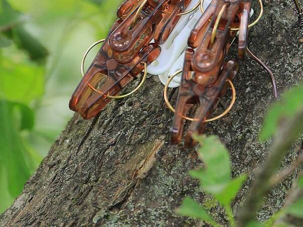 洗濯バサミを使って…　完成したまさかの作品に「マジかよ！」