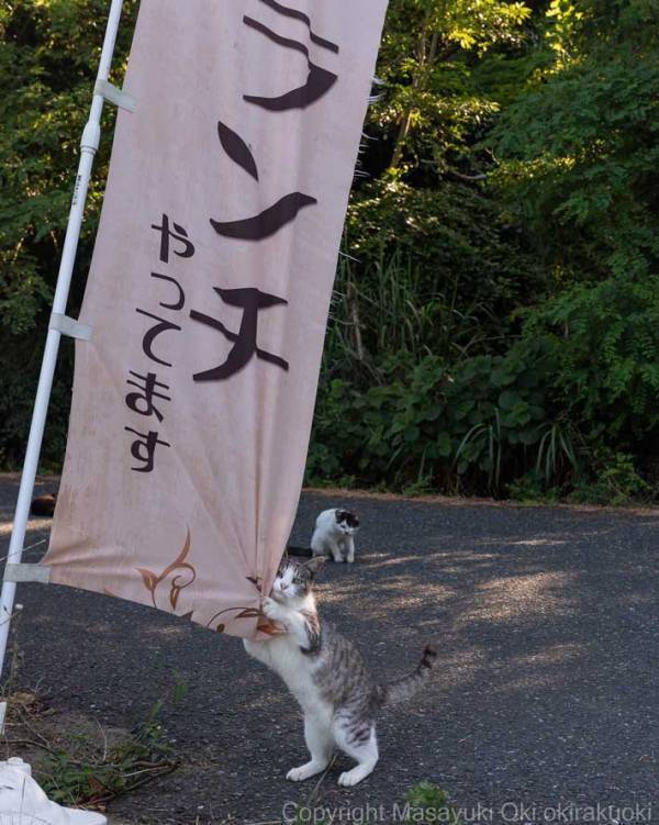 飲食店の『のぼり』に16万いいね！　写真の右下を見ると…