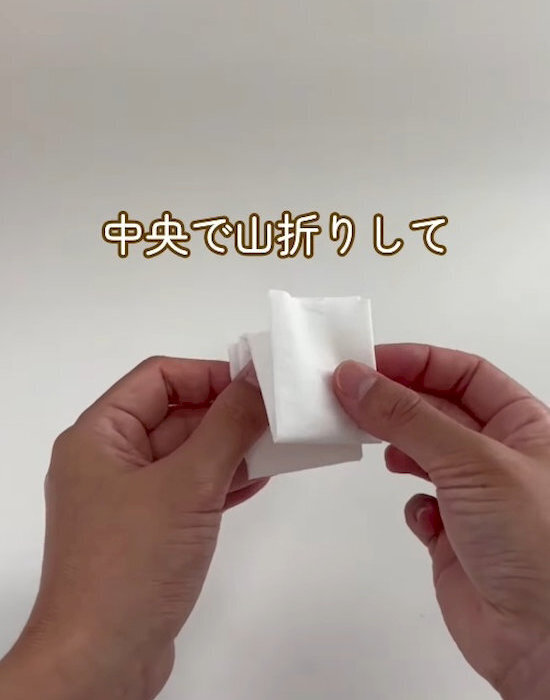ティッシュ1枚で作れるポテチ用カバーに「すごい！」「次はコレ」