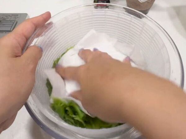 「レタスって冷凍できるの？」　便利な保存法に「助かる」「真似する」