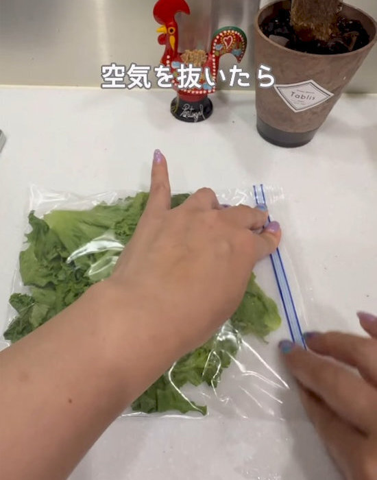 「レタスって冷凍できるの？」　便利な保存法に「助かる」「真似する」