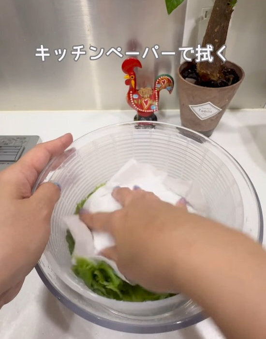 「レタスって冷凍できるの？」　便利な保存法に「助かる」「真似する」