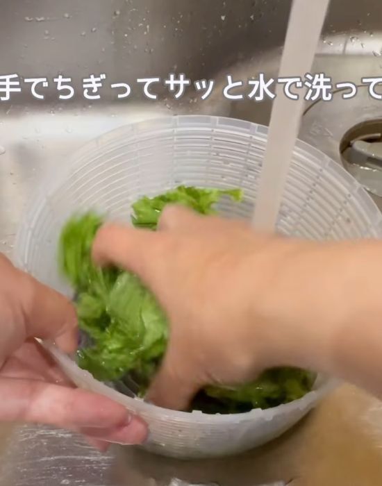 「レタスって冷凍できるの？」　便利な保存法に「助かる」「真似する」