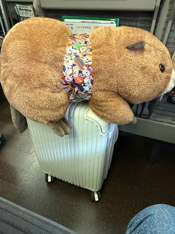 2等のぬいぐるみが欲しかったが…　まさかの結果に「笑っちゃった」「大変そう」