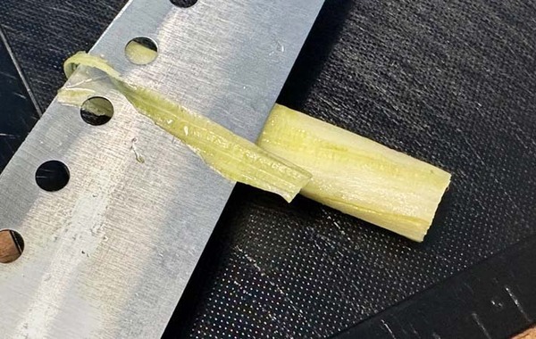 ゆで卵に挿すだけで…？　見た目も楽しい簡単レシピ！