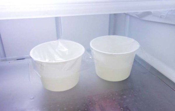 粉ゼラチン4gを溶かして？　業スー考案のレシピに「夏に食べたい」「子供が絶賛」