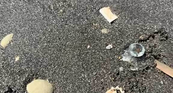 これ何か知ってる？　海で見つけた『お宝』に「初めて見た…」