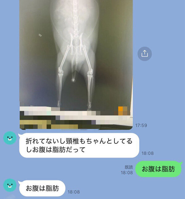 飼い主「がんの腫瘍なのでは」　病院で診てもらった結果…「爆笑した」「すごいパワーワード」