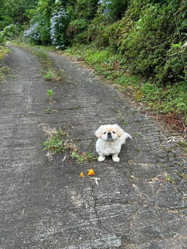 飼い主「狙われていることに気付かず、ニッコニコ」　愛犬の後ろに写っていたのは…