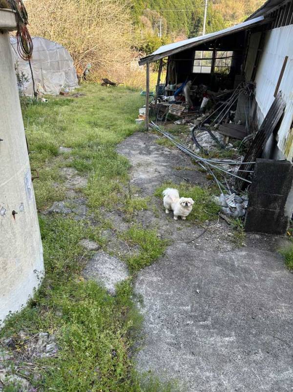 飼い主「狙われていることに気付かず、ニッコニコ」　愛犬の後ろに写っていたのは…
