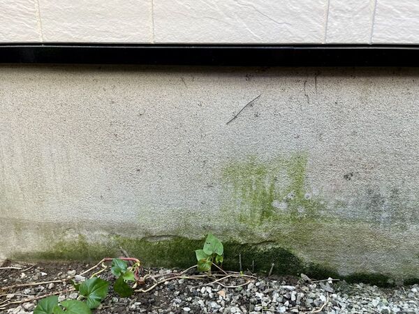 外壁のコケはどうやって落とす？　企業が教える掃除方法と手順に「やってみる」