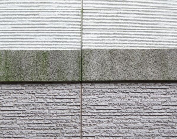 外壁のコケはどうやって落とす？　企業が教える掃除方法と手順に「やってみる」