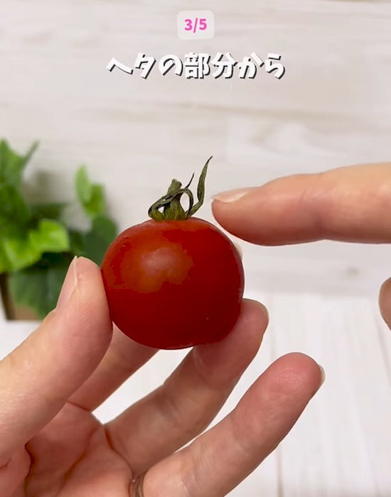 弁当はどう詰める？　食中毒対策のおすすめに「これならできる」「明日からやる」