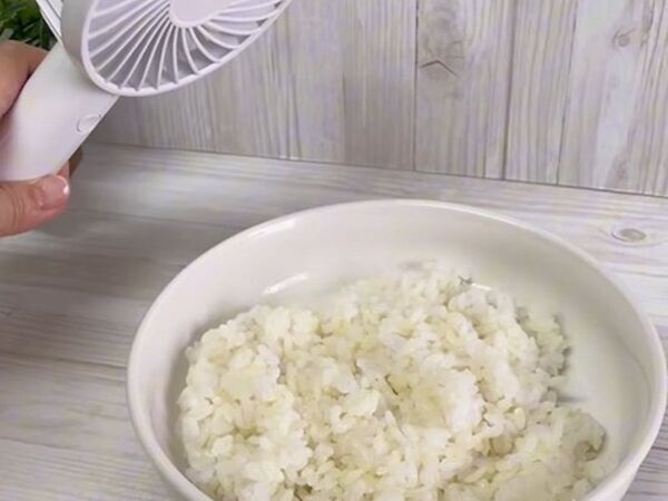 弁当はどう詰める？　食中毒対策のおすすめに「これならできる」「明日からやる」