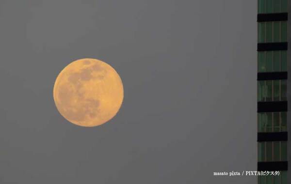 年に一度の『スタージョンムーン』がついに！　夏の夜空を眺めよう