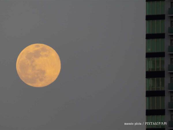 年に一度の『スタージョンムーン』がついに！　夏の夜空を眺めよう