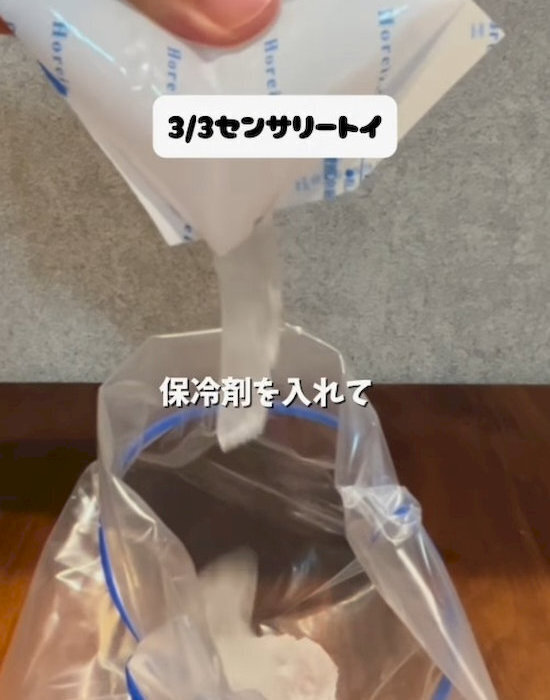 冷凍庫の保冷剤が大活躍　簡単リメイクに「知らなかった」「やってみる」